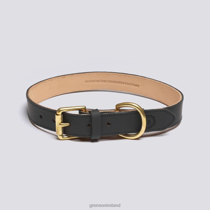 LARGE DOG COLLAR Unisex Grenson TLJJ8545 Black Dog Accessories
