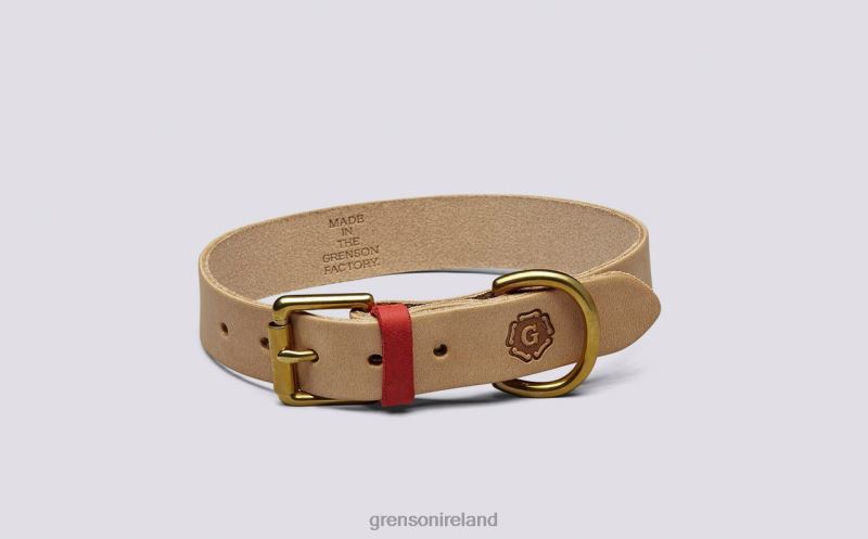 MEDIUM DOG COLLAR Unisex Grenson TLJJ8541 Soft Dog Accessories