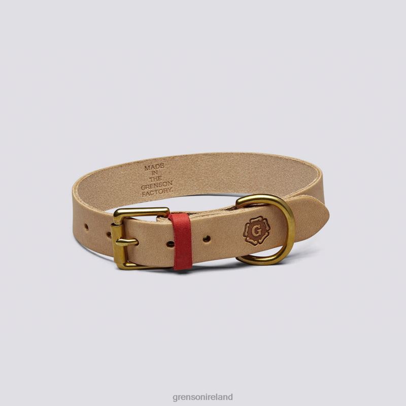 MEDIUM DOG COLLAR Unisex Grenson TLJJ8541 Soft Dog Accessories