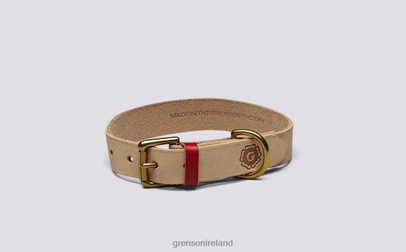 SMALL DOG COLLAR Unisex Grenson TLJJ8540 Soft Dog Accessories