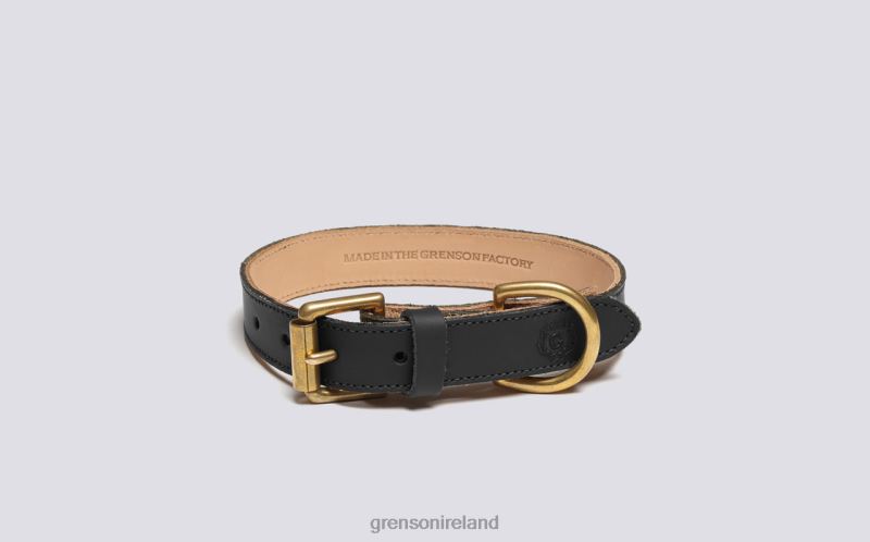 SMALL DOG COLLAR Unisex Grenson TLJJ8546 Black Dog Accessories