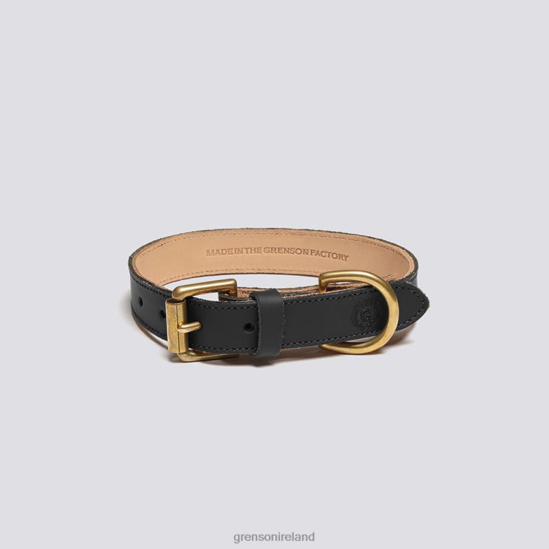 SMALL DOG COLLAR Unisex Grenson TLJJ8546 Black Dog Accessories